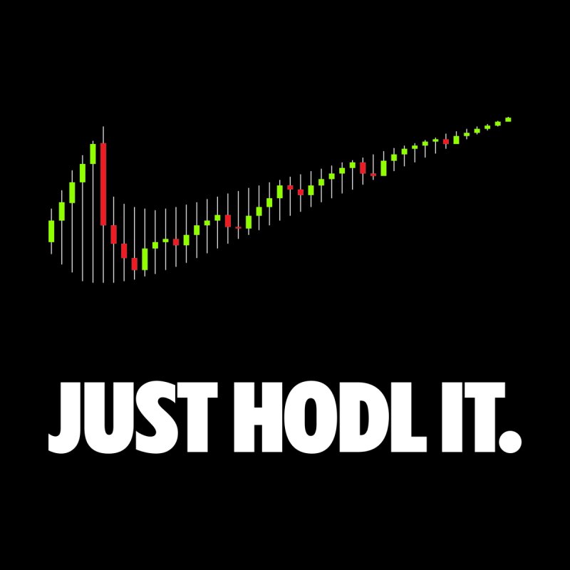 Just hodl it logo