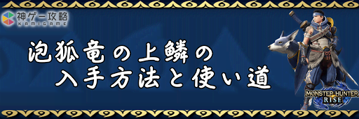 泡狐竜の上鱗