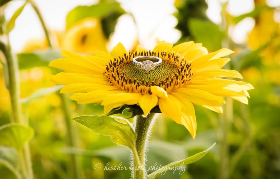 Photographe de mariage Heather Nicole (heathernicole). Photo du 7 septembre 2019