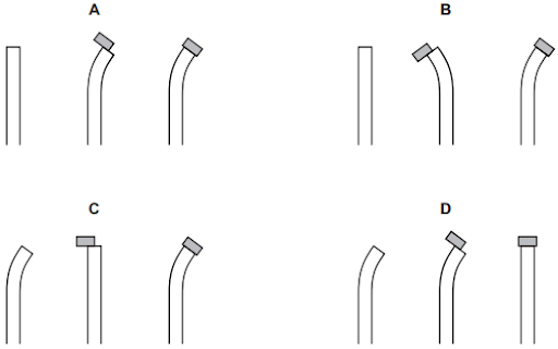 Role of auxin and gibberellins in controlling shoot growth