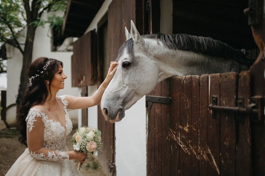 結婚式の写真家Marko Milivojevic (milivojevic)。2018 11月29日の写真