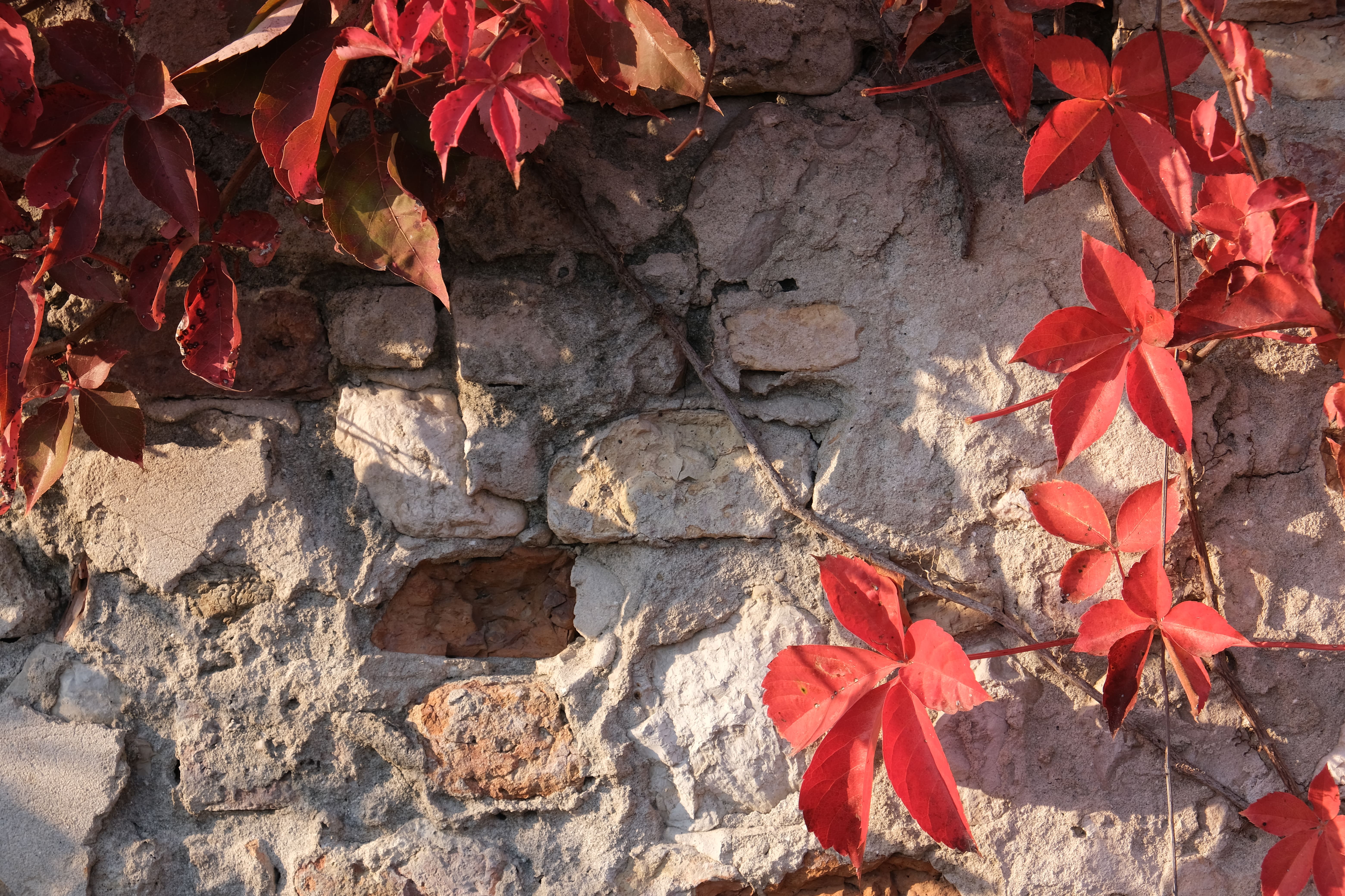 Non è autunno senza colori di Matilde75