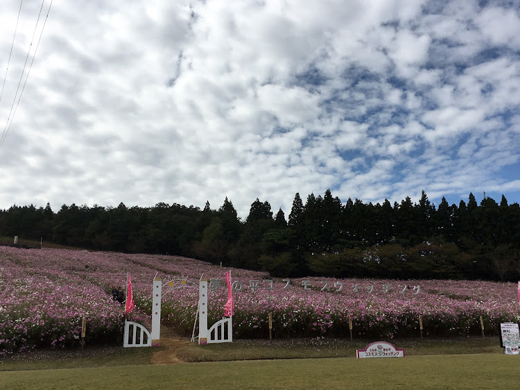 の投稿画像4枚目