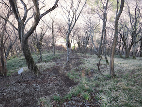 杉峠までは滑りやすい道