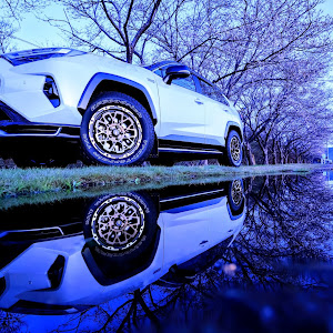 RAV4 AXAP54