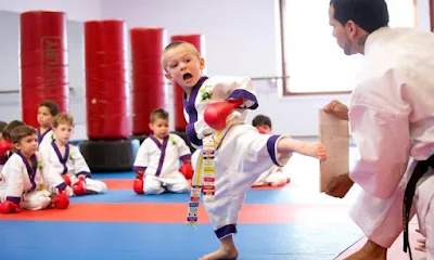 Renubukai Karate Classes