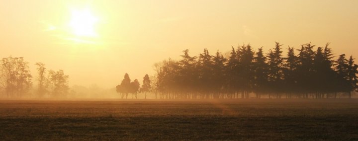 Nebbia....un'alba dedicata.. di adele