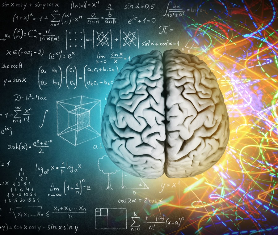Cervello: Cos'è? Anatomia, Funzione e Patologie