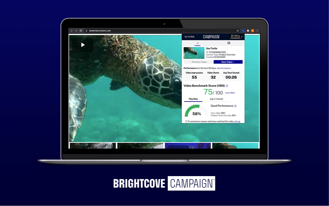 Brightcove Campaign Preview image 1