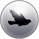 Download Bird Fly For PC Windows and Mac 1.0.0.2