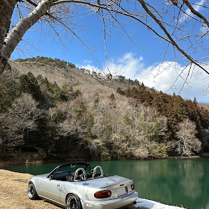 ロードスター NA6CE
