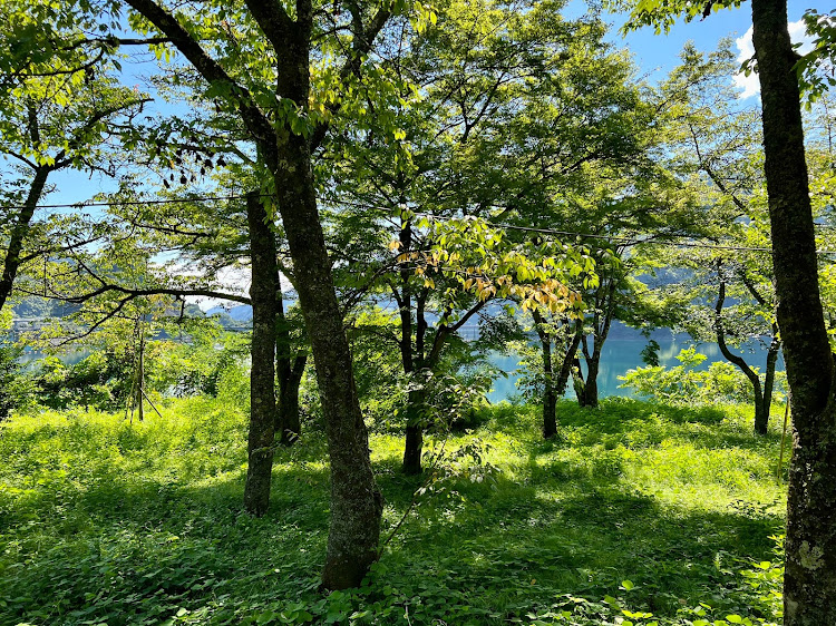 スパイダーのアルファロメオ・939スパイダー・東京都奥多摩町・山梨県小菅村・静岡市清水区に関するカスタム事例の投稿画像5枚目