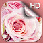 Pink Rose Wallpaper HD Custom New Tab