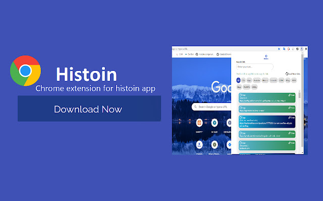 Histoin chrome extension