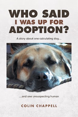 Who Said I Was Up For Adoption? cover