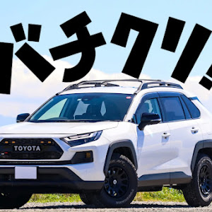 RAV4 AXAH54