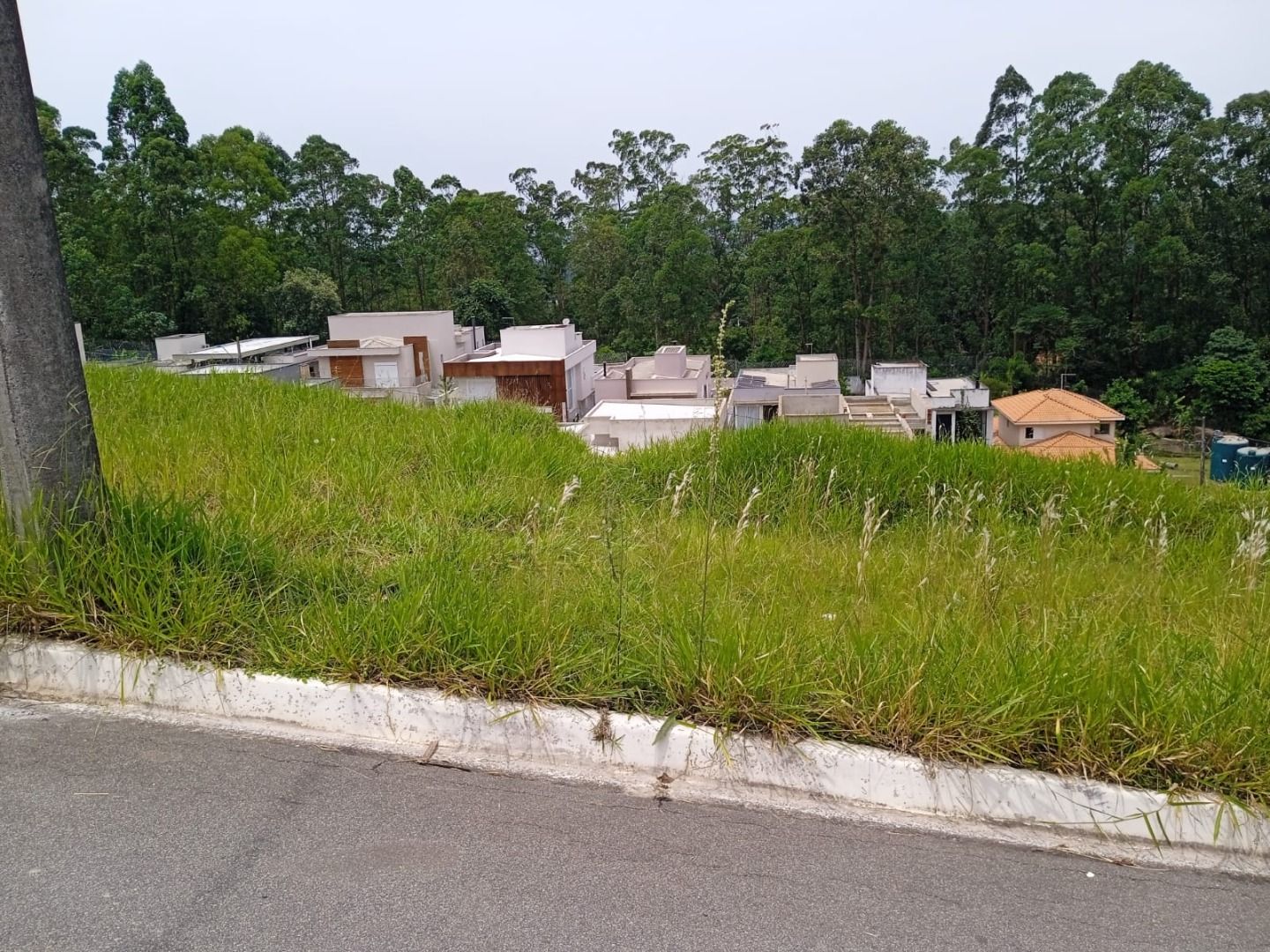 Terreno