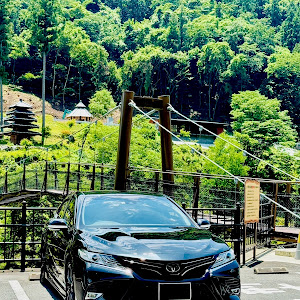 カムリ AXVH70