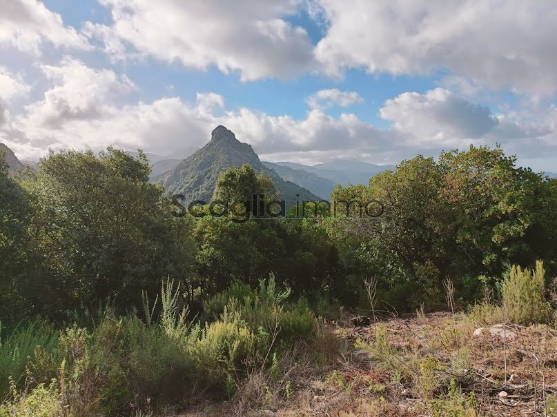 Vente terrain  9455 m² à Ocana (20117), 440 000 €