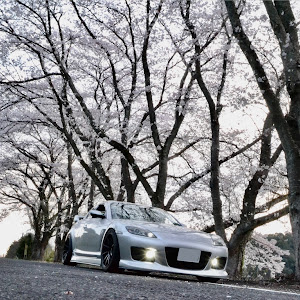 RX-8 SE3P