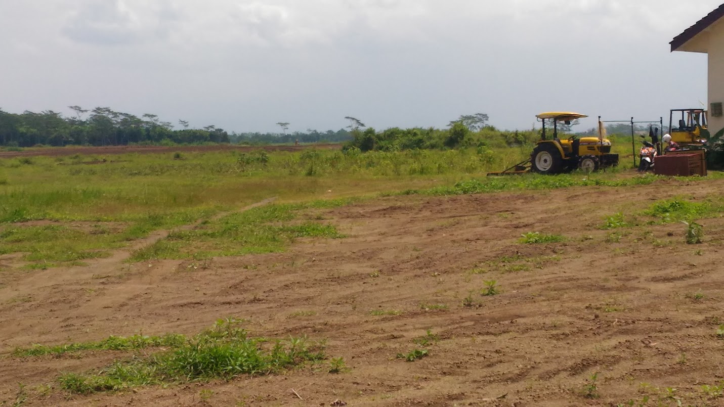 Clearing land