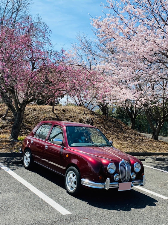 hiro920さんが投稿したビュートk11・光岡自動車・認定中古車・限界ホイール・オーロラワインレッドに関するカスタム事例の投稿画像1枚目