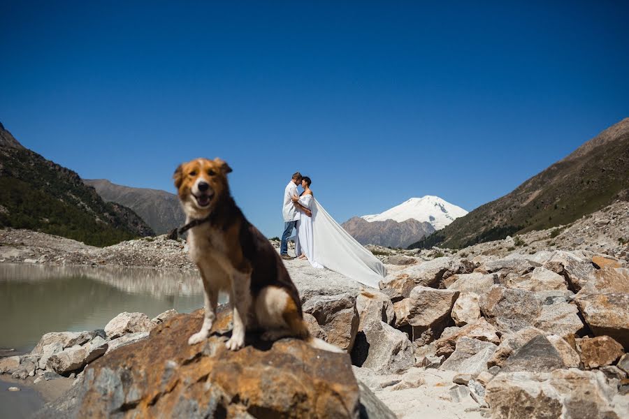 Wedding photographer Svetlana Timis (timis). Photo of 17 July 2020