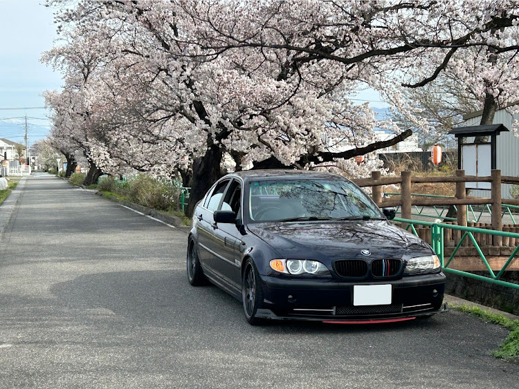 の投稿画像5枚目