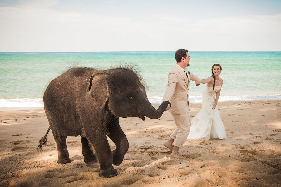 Wedding photographer Anna Karkacheva (annakarkacheva). Photo of 2 December 2012