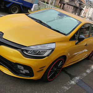 ルーテシア RM5M1