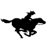 Pony Ryde icon