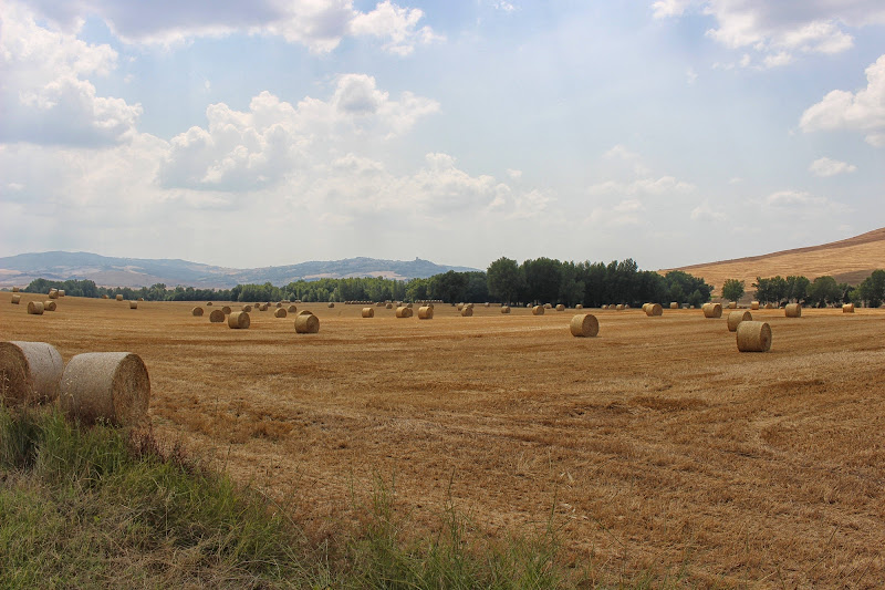 Tumbleweed di Ilaz