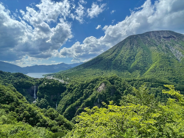 の投稿画像4枚目