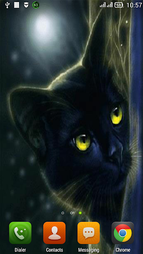 Black cat LWP