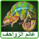 Download مملكة الزواحف For PC Windows and Mac 1.0