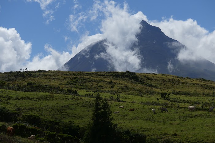 AZORES, 5 ISLAS POR UN PELO: PICO, SÃO JORGE, FAIAL, FLORES Y CORVO - Blogs de Portugal - PICO: LLEGADA Y PRIMER DÍA ESQUIVANDO LA LLUVIA (10)