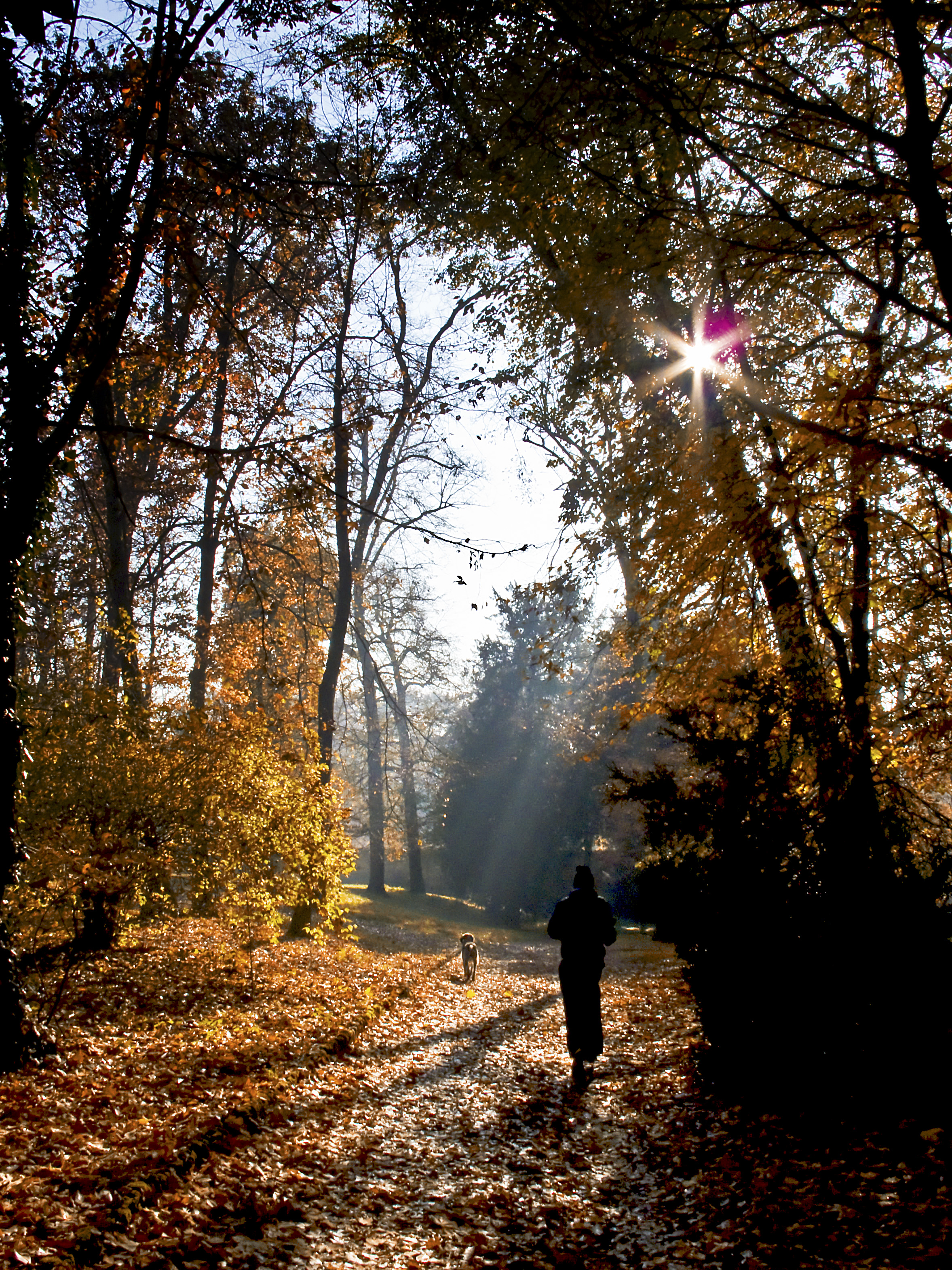 walking in the light di nessuno