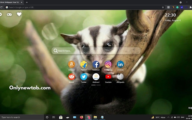 Sugar Glider Wallpaper New Tab Theme