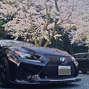 RC F USC10