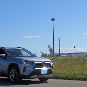 RAV4 MXAA54