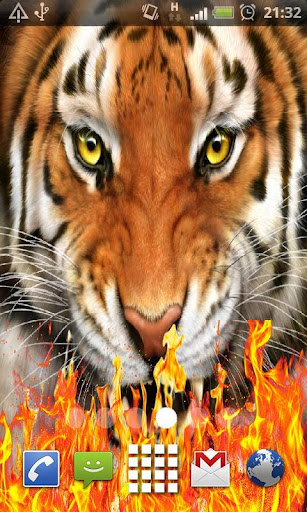 Tiger Face Fire Effects Image