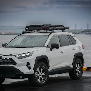 RAV4 MXAA52