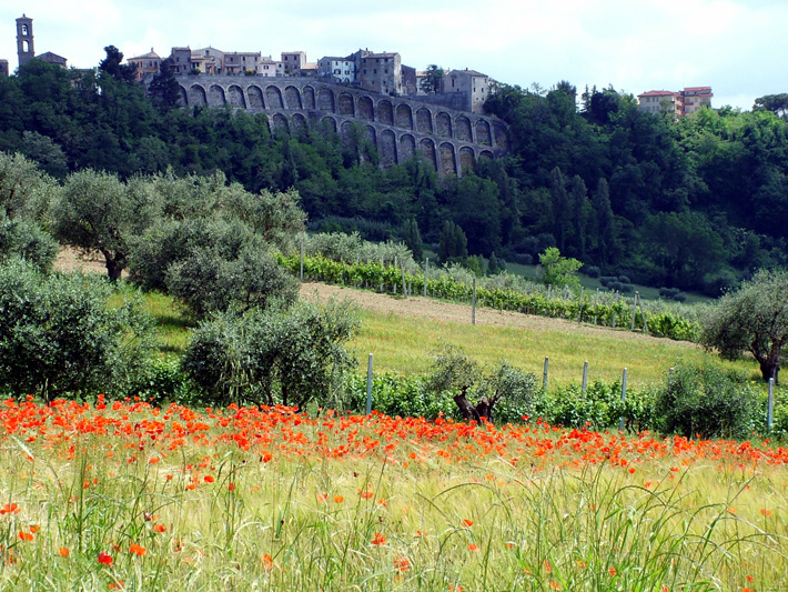 Maiolati Paese delle Marche di emorpi