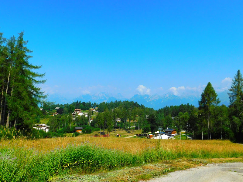 Estate prati boschi e montagna di Silvy62