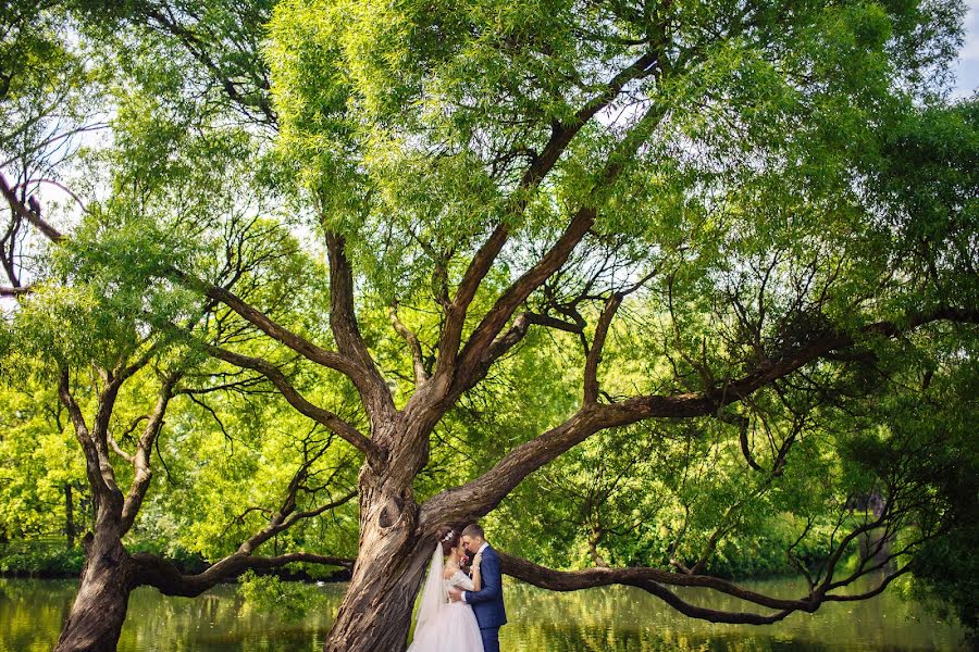 Wedding photographer Andrey Zayac (andreyzayats). Photo of 23 August 2017