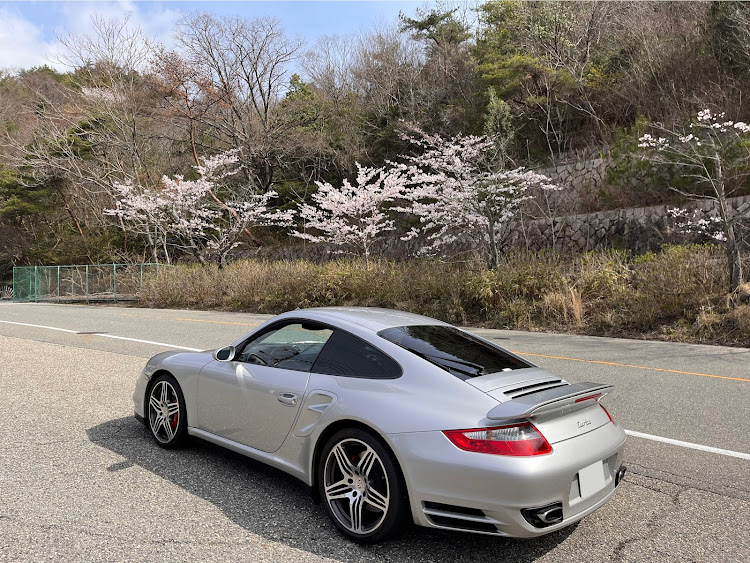 911 クーペのサクラと愛車・桜・997ターボ・ポルシェ911ターボに関するカスタム事例の投稿画像2枚目