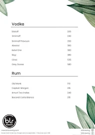 Vibe menu 2