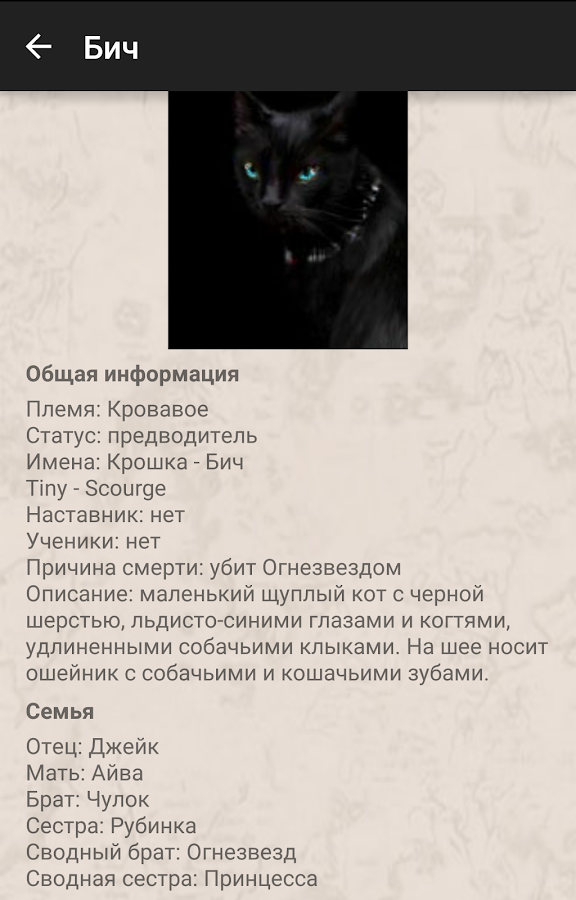 Коты-Воители. Герои книг — приложение на Android