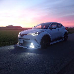 C-HR