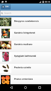 Fruit Screenshots 0